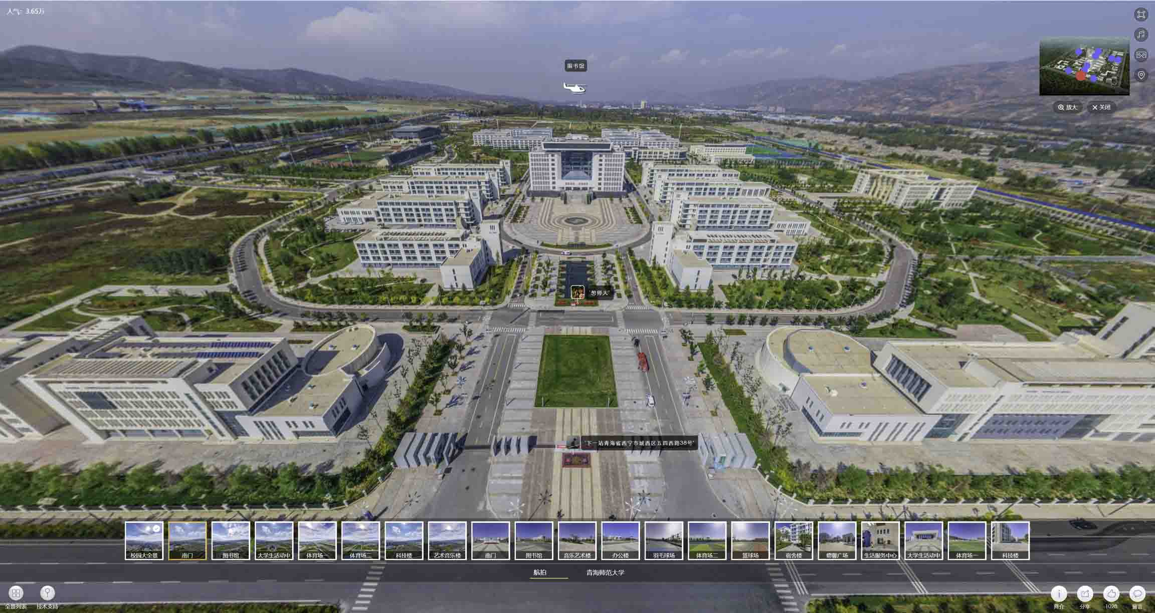 沙坡头油菜花-惊艳半生的花海仙境